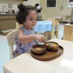 A little girl with pigtails scooping corn kernels from one bowl to another (150x150)