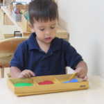 A child sorting fruit placards by colors (150x150)
