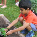 A boy planting (150x150)