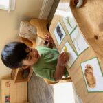 A little boy learning about animals using placards (150x150)